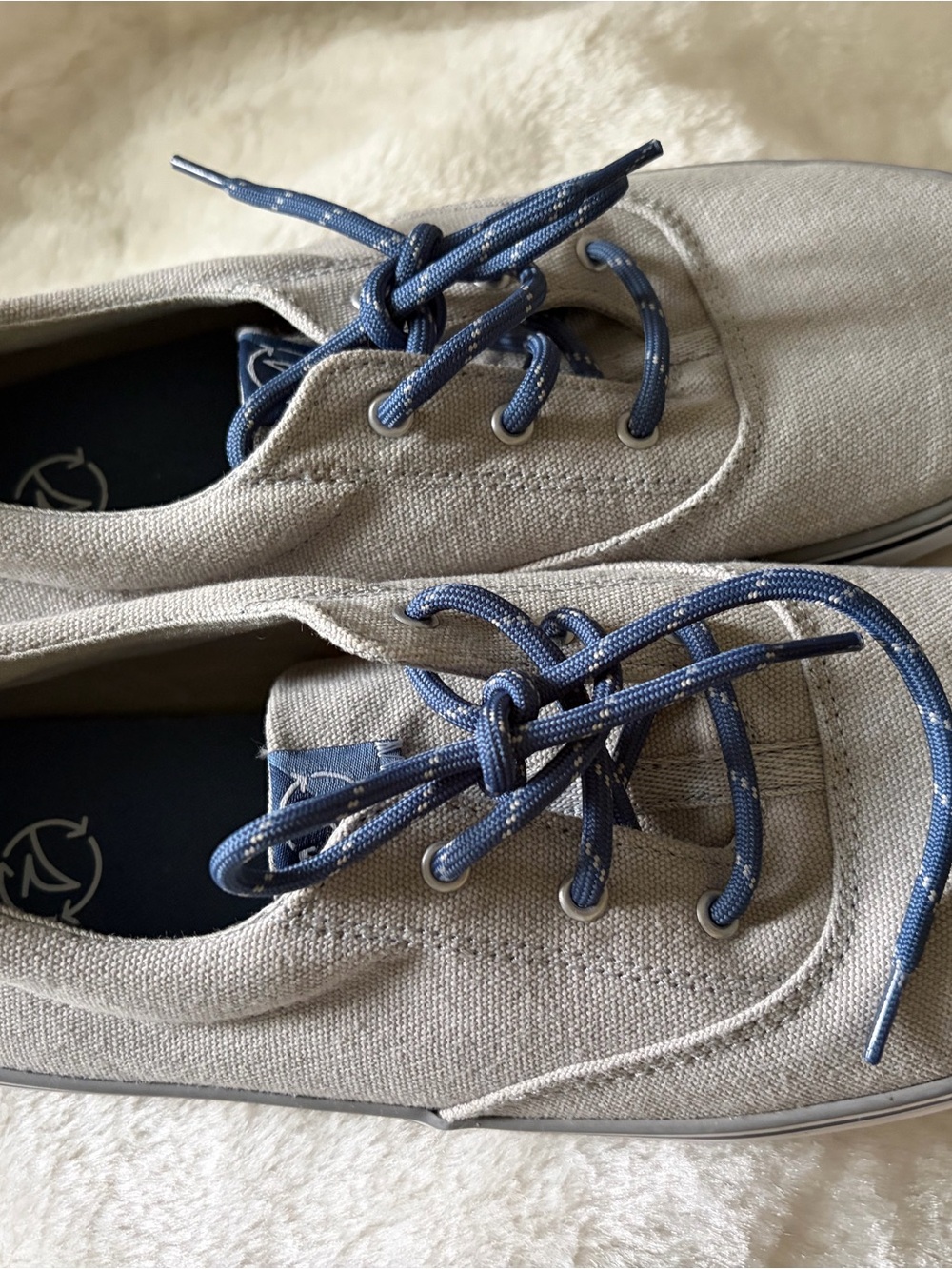 Sperry youth  Canvas Sneakers in Beige with Blue Laces